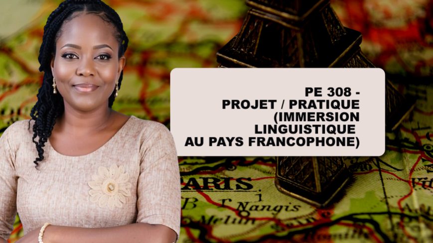 PE 308 - PROJET